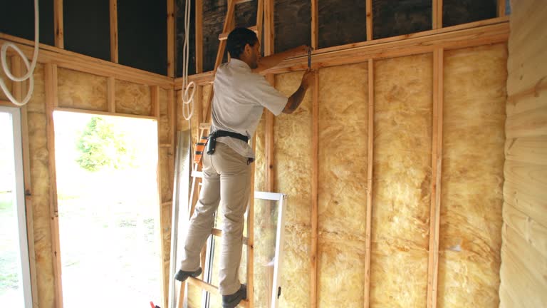 Best Eco-Friendly or Green Insulation Solutions  in Bayfield, CO